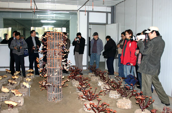 千亿国际游戏官网 千亿国际游戏官网