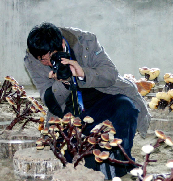千亿国际游戏官网 千亿国际游戏官网